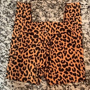 Balance Athletica Kingdom Collection